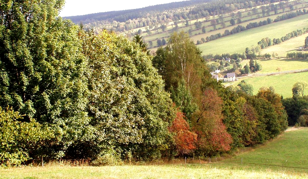 Example of Cultural Landscape near Königswalde